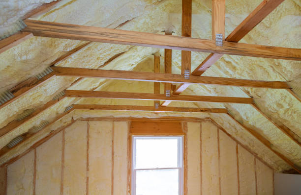 Best Insulation for Specific Applications in Fellsmere, FL