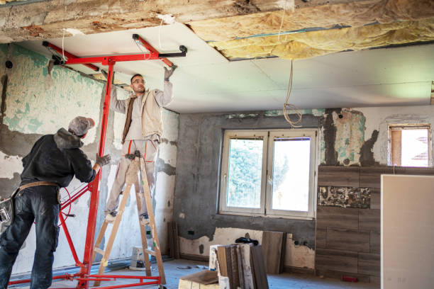 Best Geographic-Specific Insulation Services in Fellsmere, FL