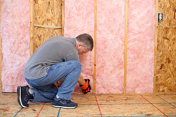 Types of Insulation We Offer in Fellsmere, FL