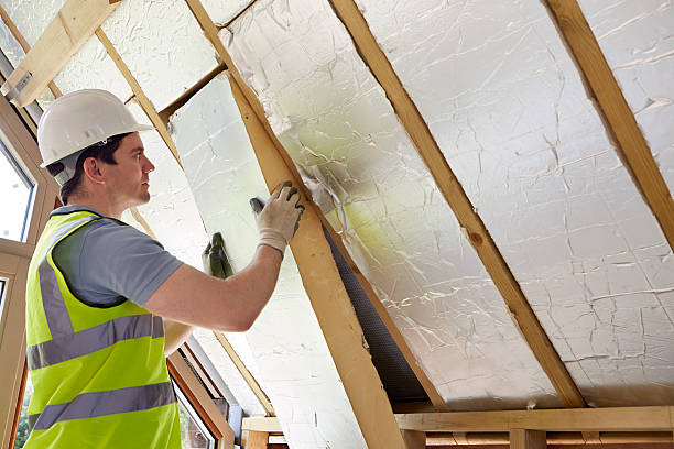 Best Geographic-Specific Insulation Services in Fellsmere, FL