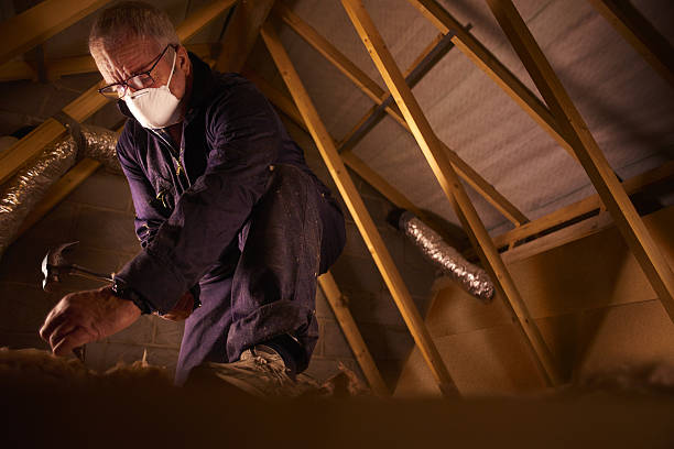 Trusted Fellsmere, FL Insulation Contractor Experts